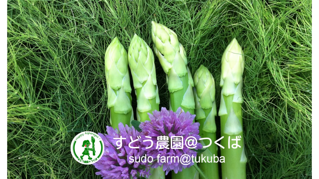 すどう農園＠つくば　茨城県認定　エコファーマー