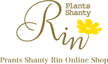 Plants Shanty Rin