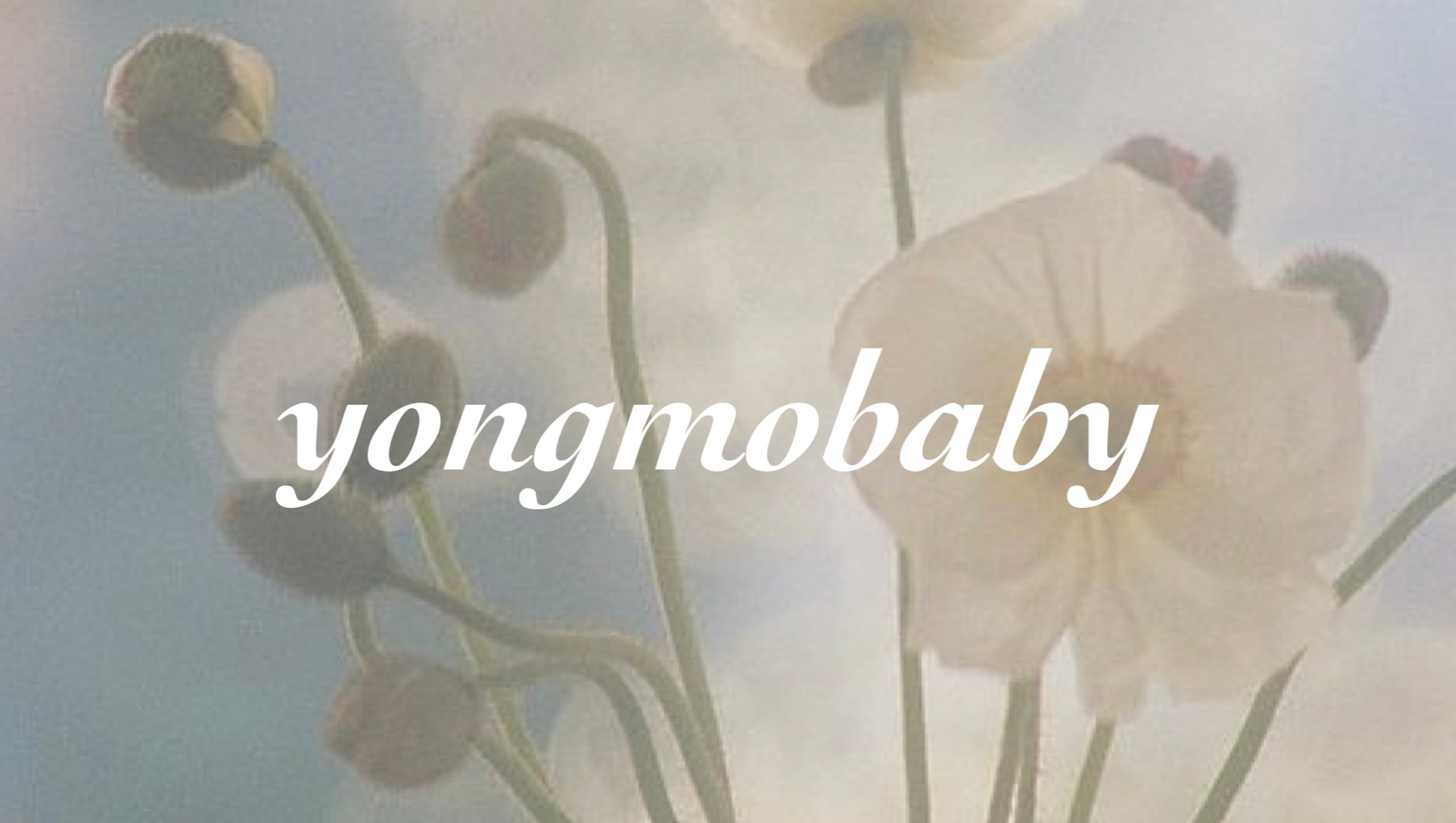 yongmobaby