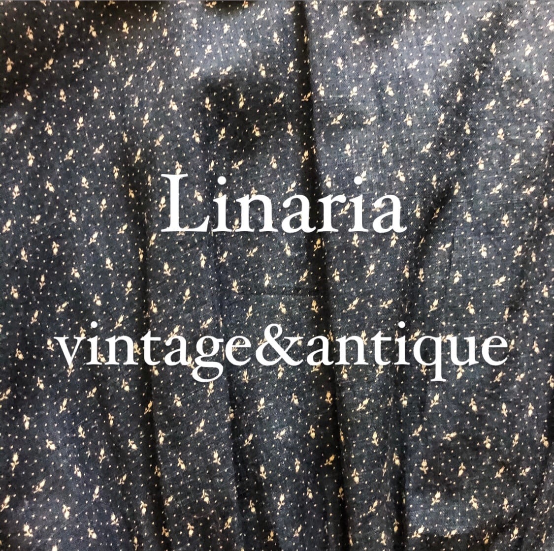 Linaria vintage&antique