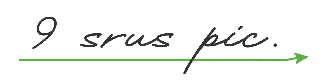 9 srus pic./クスルスピック