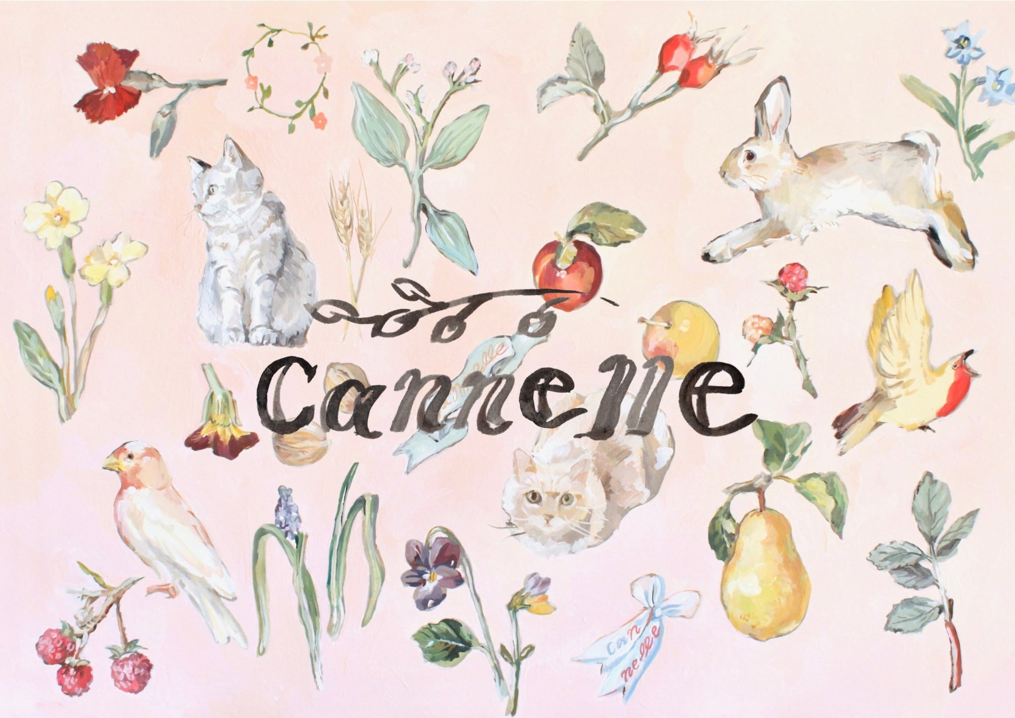 cannelle