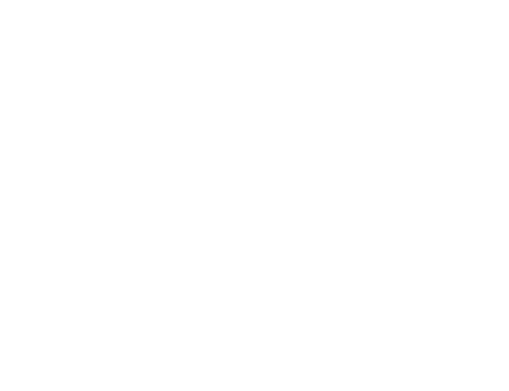 SOSOG　浜松注染　本染　手ぬぐい