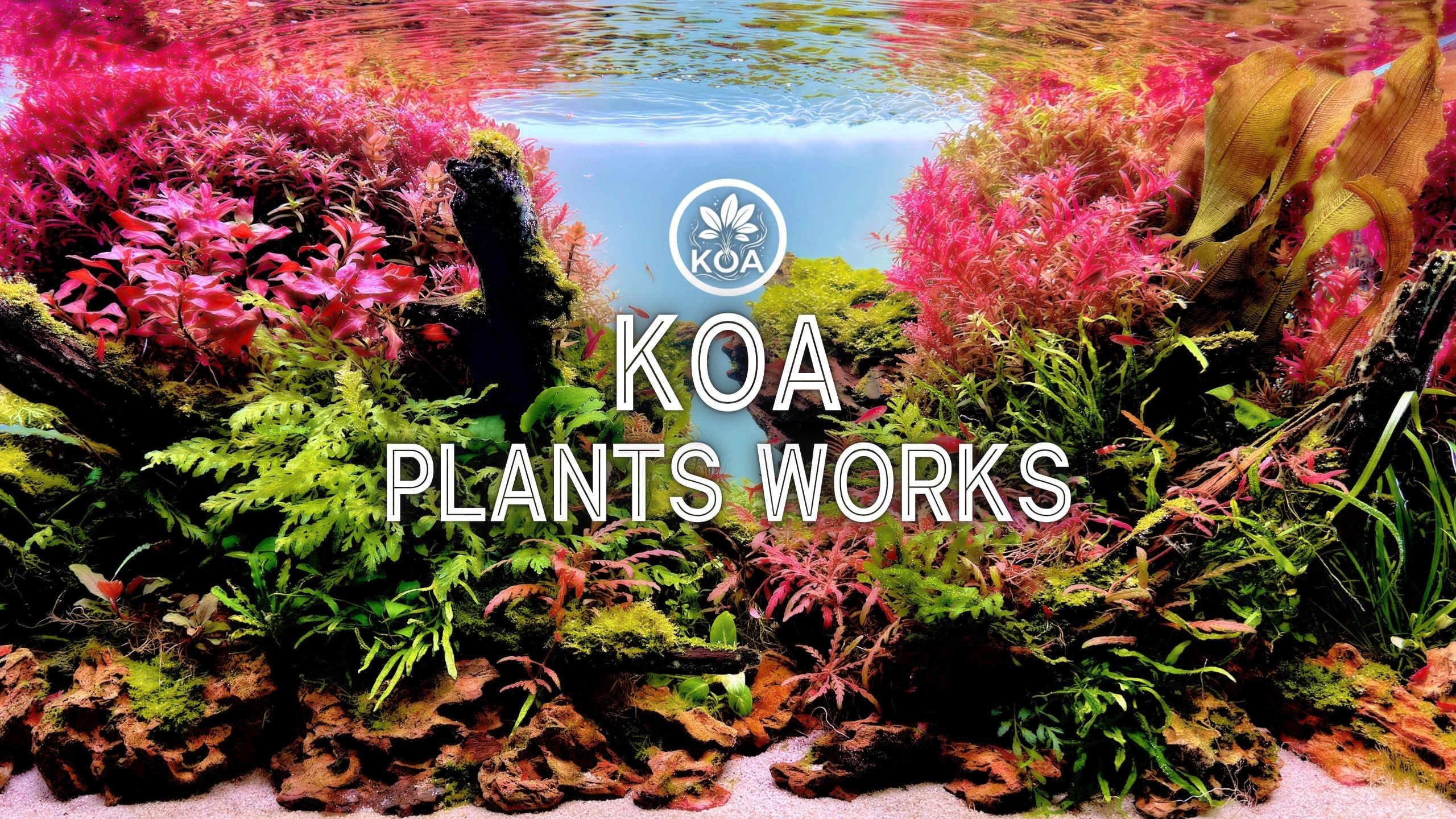 2HR PLANTSWORKS