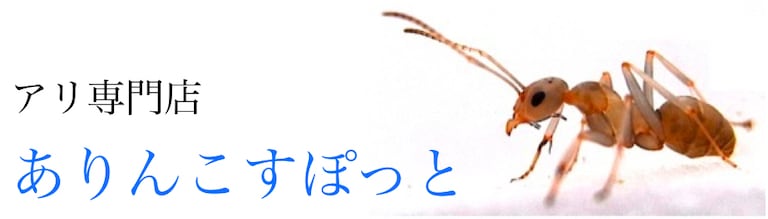 ありんこすぽっと