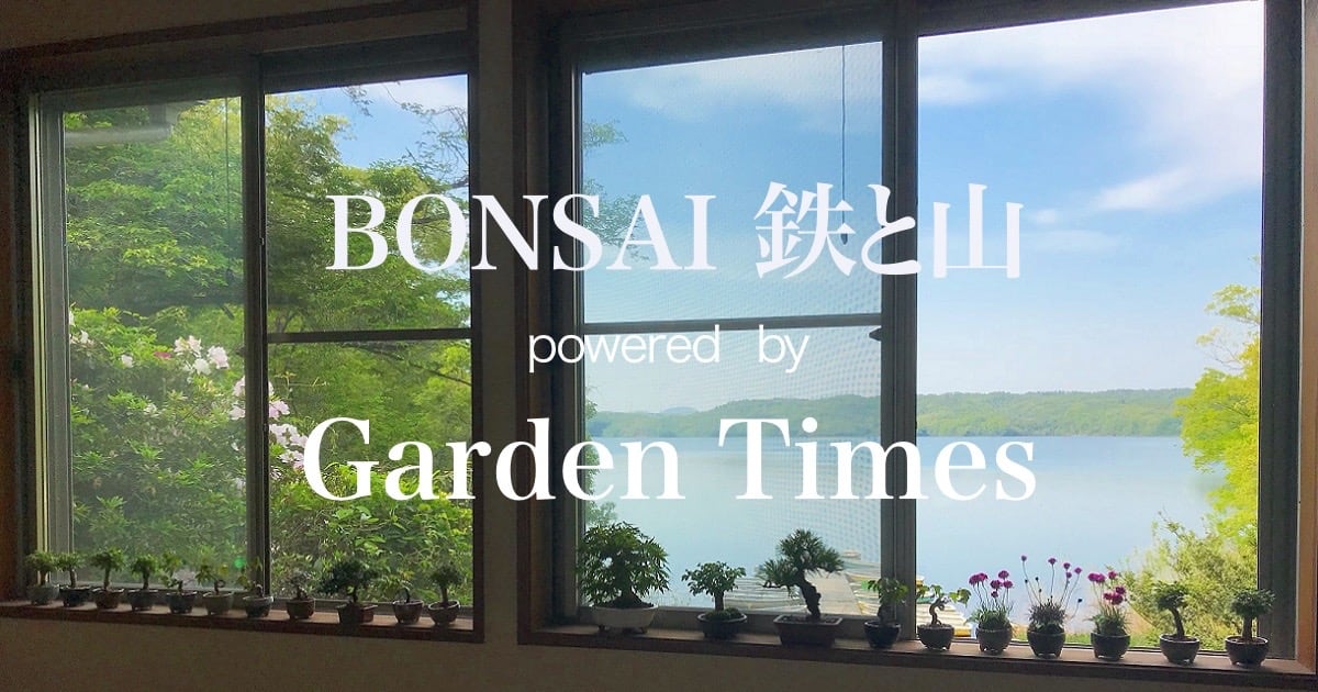 BONSAI 鉄と山 | Garden Times