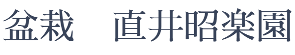 飛騨高山の盆栽屋　直井昭楽園