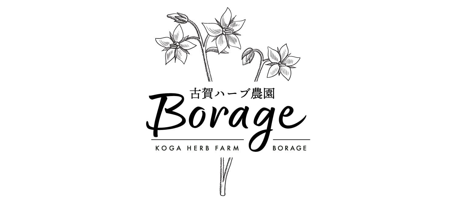 古賀ハーブ農園 Borage