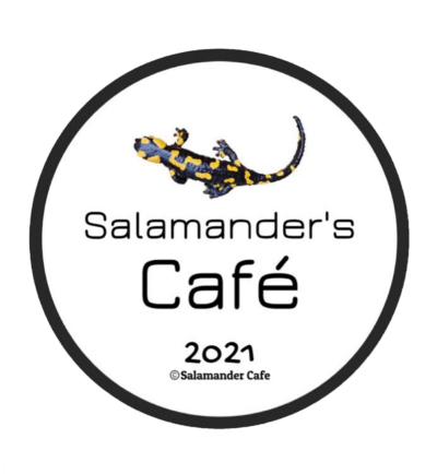 Salamander work