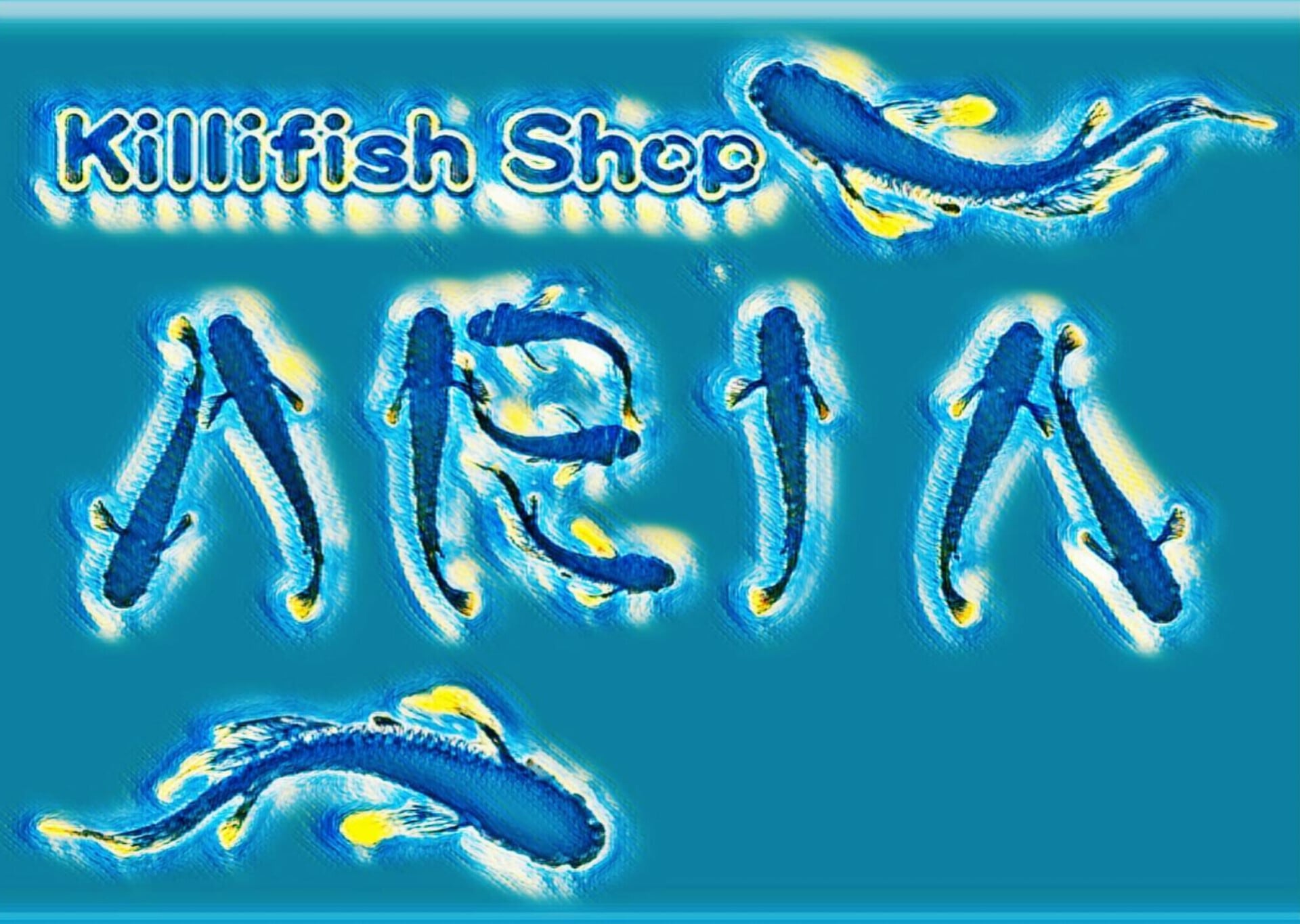 メダカ屋_ARIA_