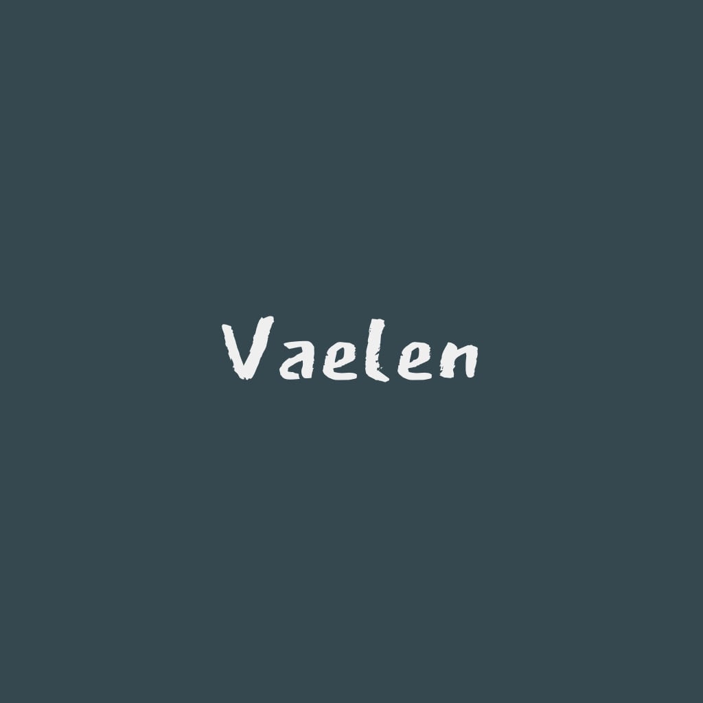 古着 Vaelen