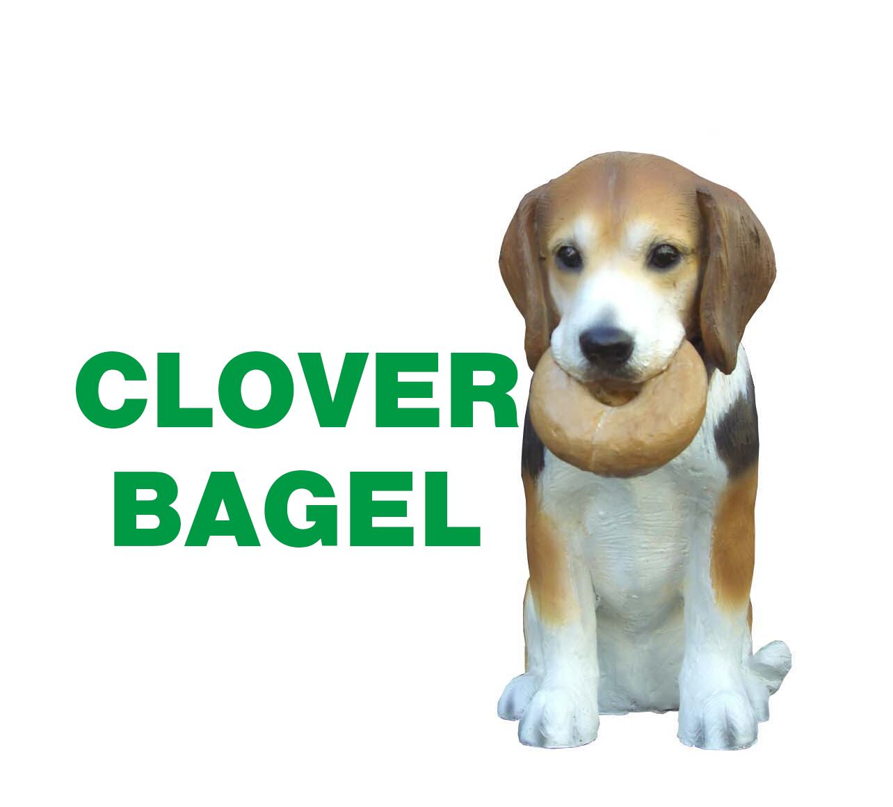 cloverbagel