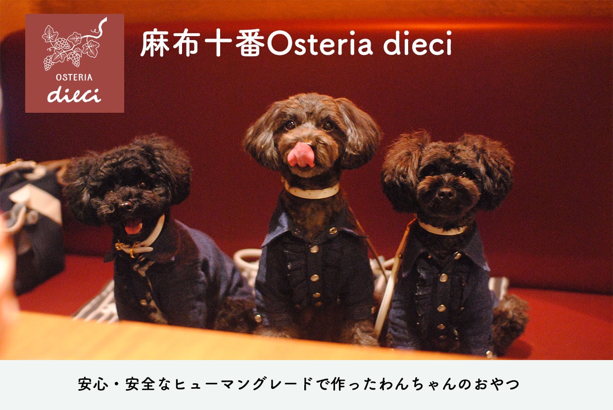 手作りわんちゃんおやつ｜Osteria Dieci（オステリア・ディエチ）