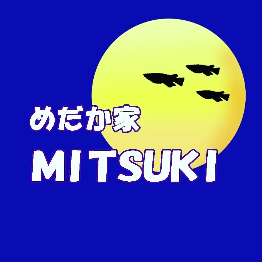 めだか家MITSUKI