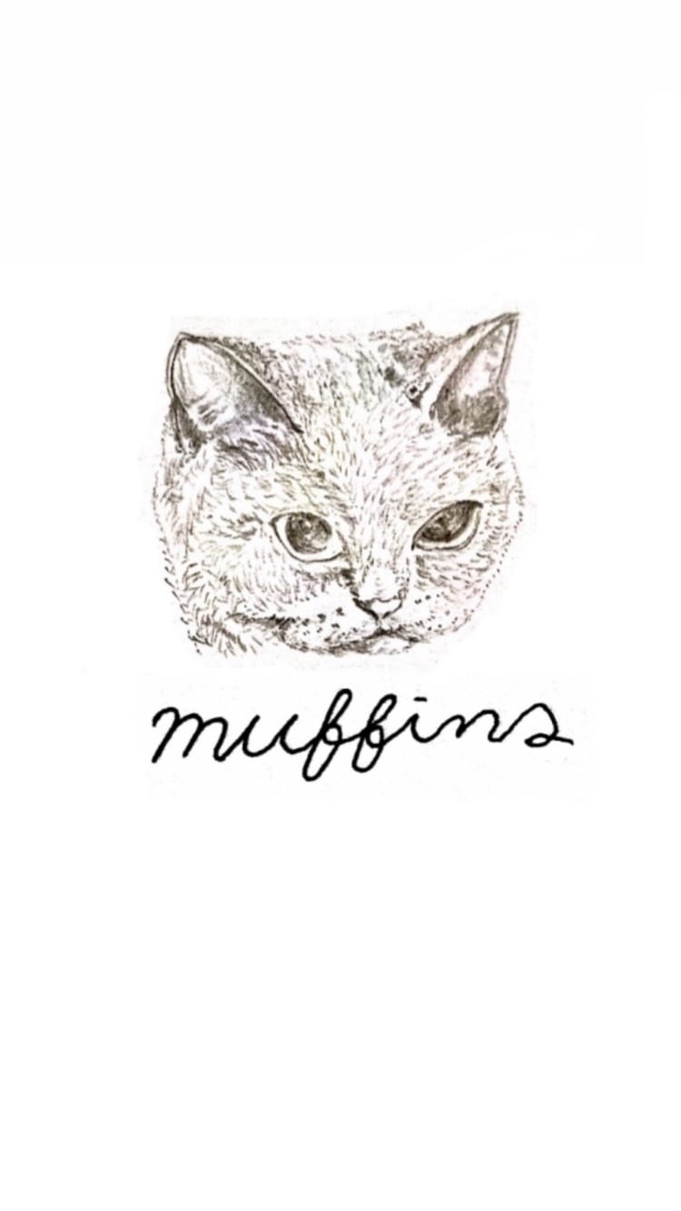 muffins