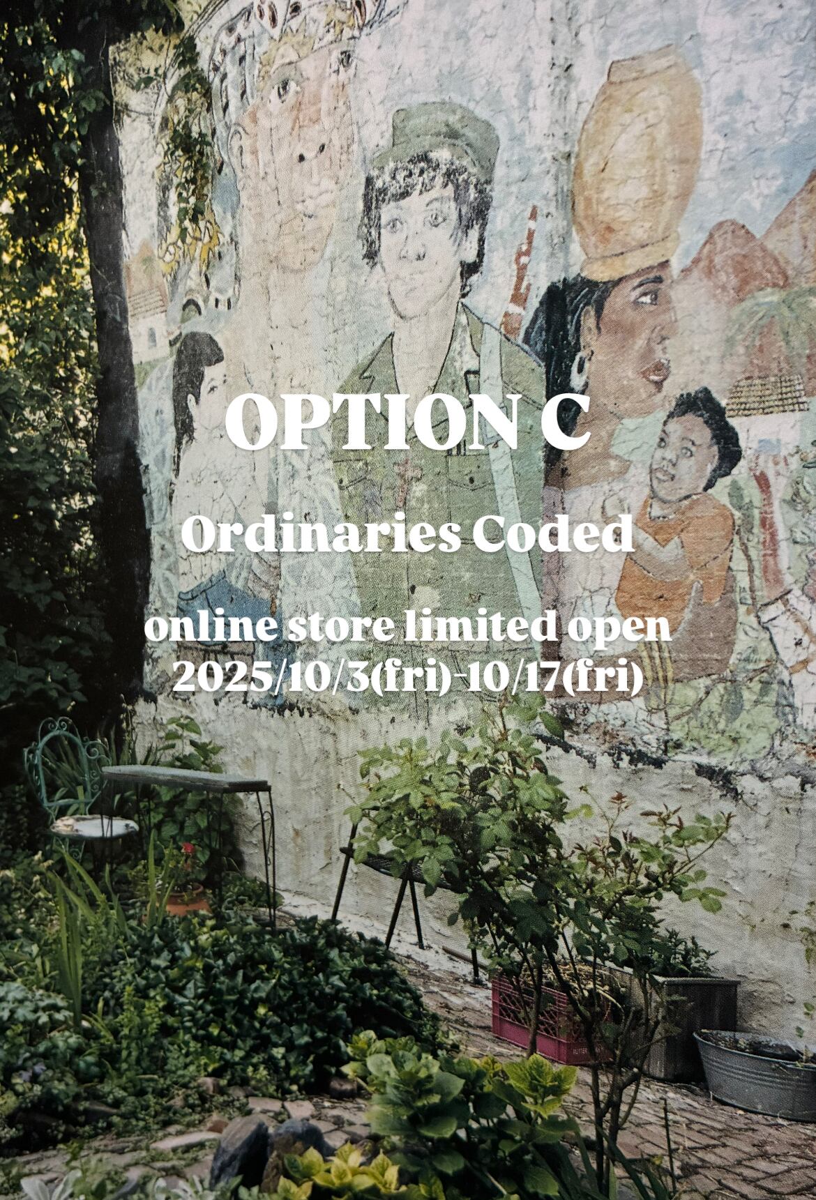 others | optionc