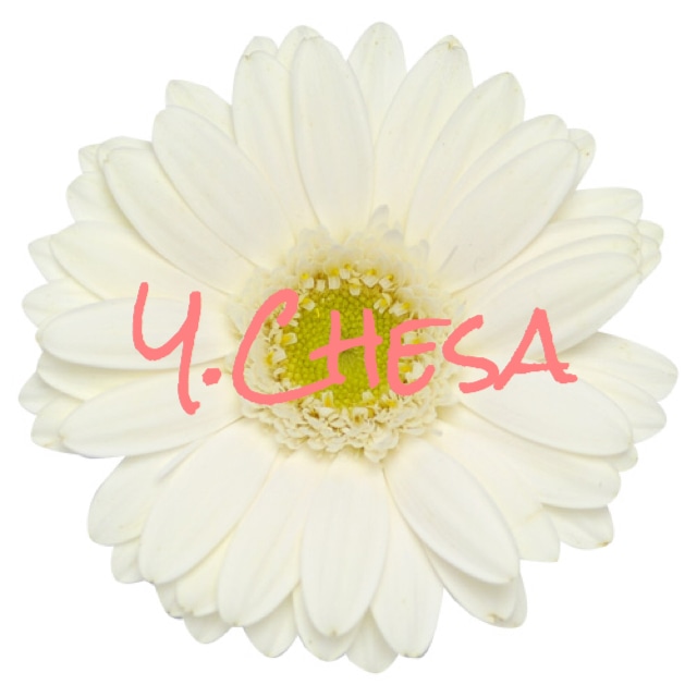 Y.Chesa