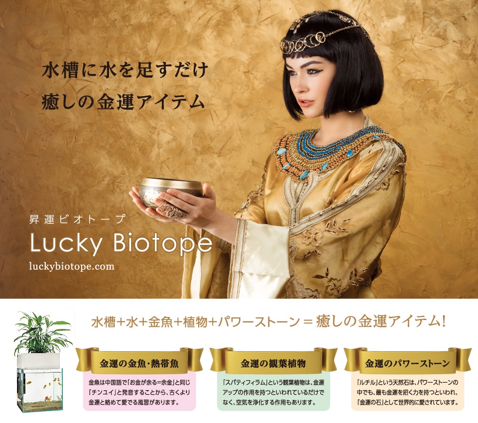 Lucky Biotope by mizumono.com
