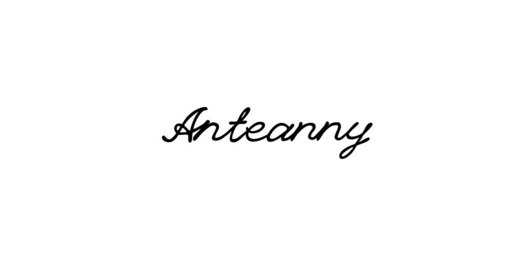 Anteanny web store