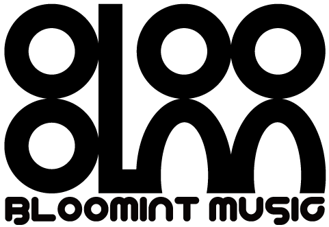 BLOOMINT MUSIC STORE