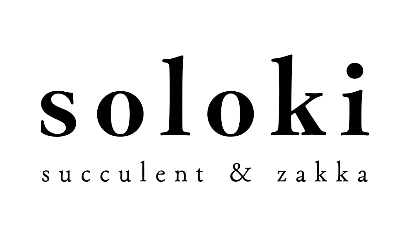 soloki