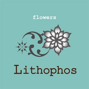 flowers Lithophos フラワーズリトフォス