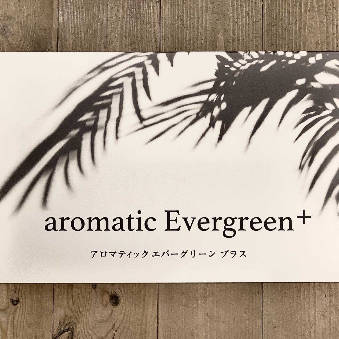 aromatic evergreen+