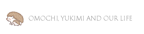 ハリネズミグッズ オモチ to ユキミ no キモチ