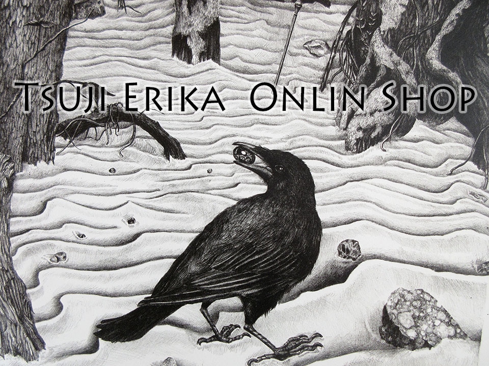 ★Tsuji Erika Online Shop☆