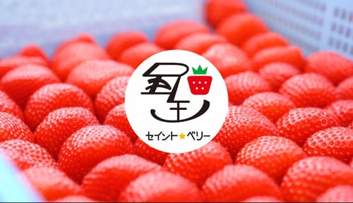 セイントベリー