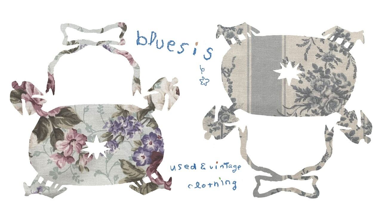 new & used kawaii shop " bluesis "