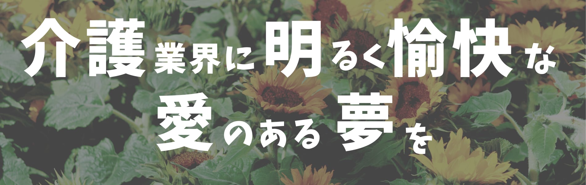 介護福祉士ひまわり