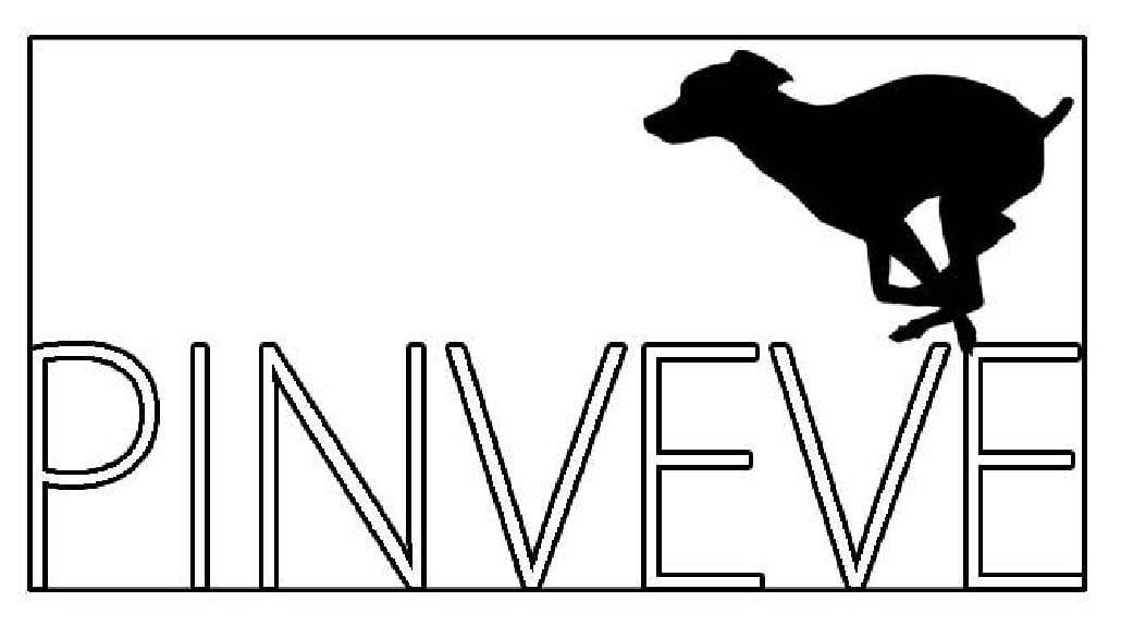 PINVEVE