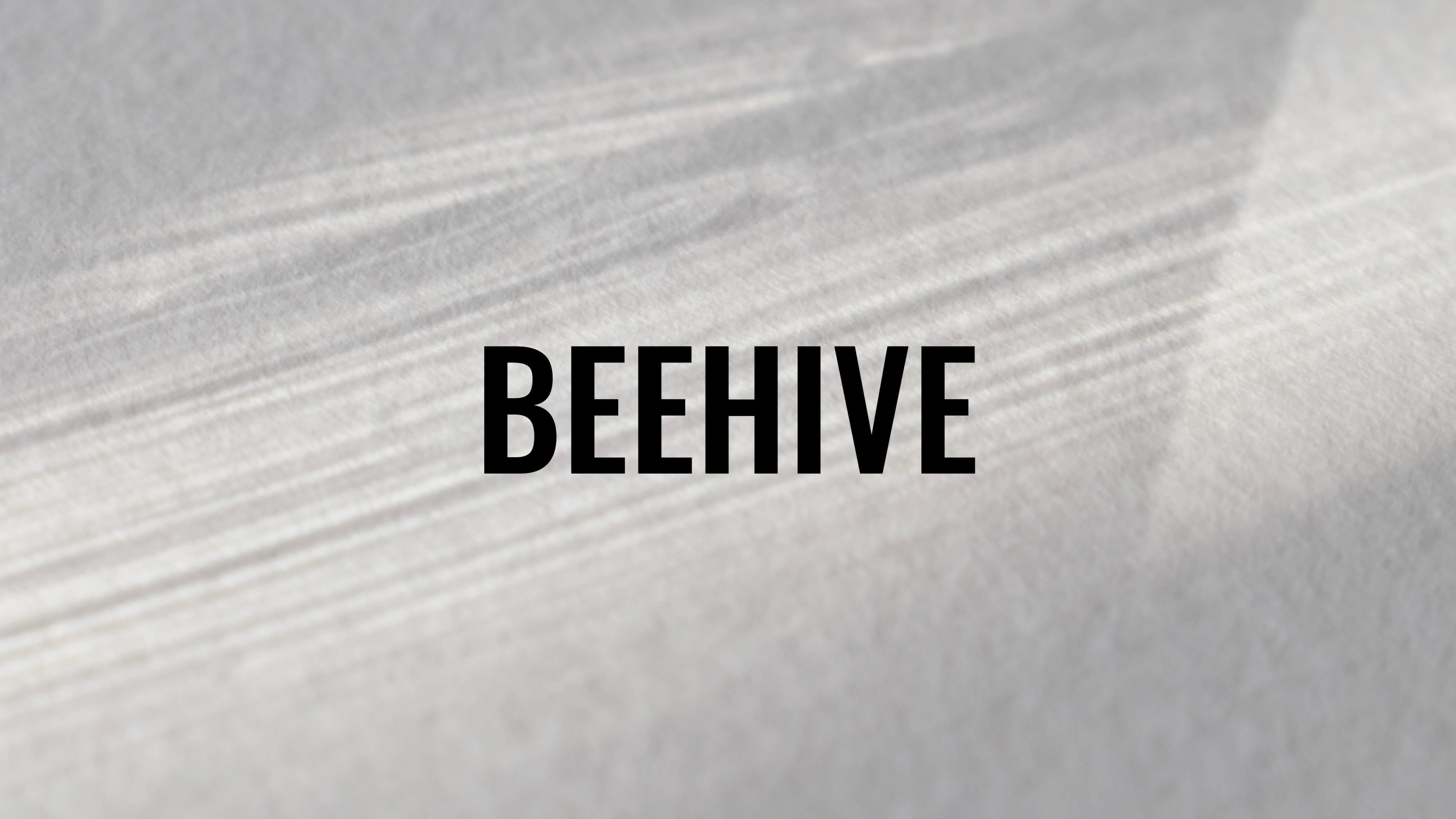 BEEHIVE