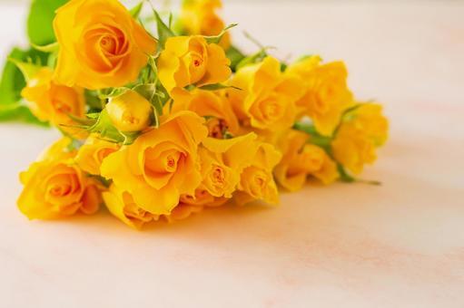 rosejasmine