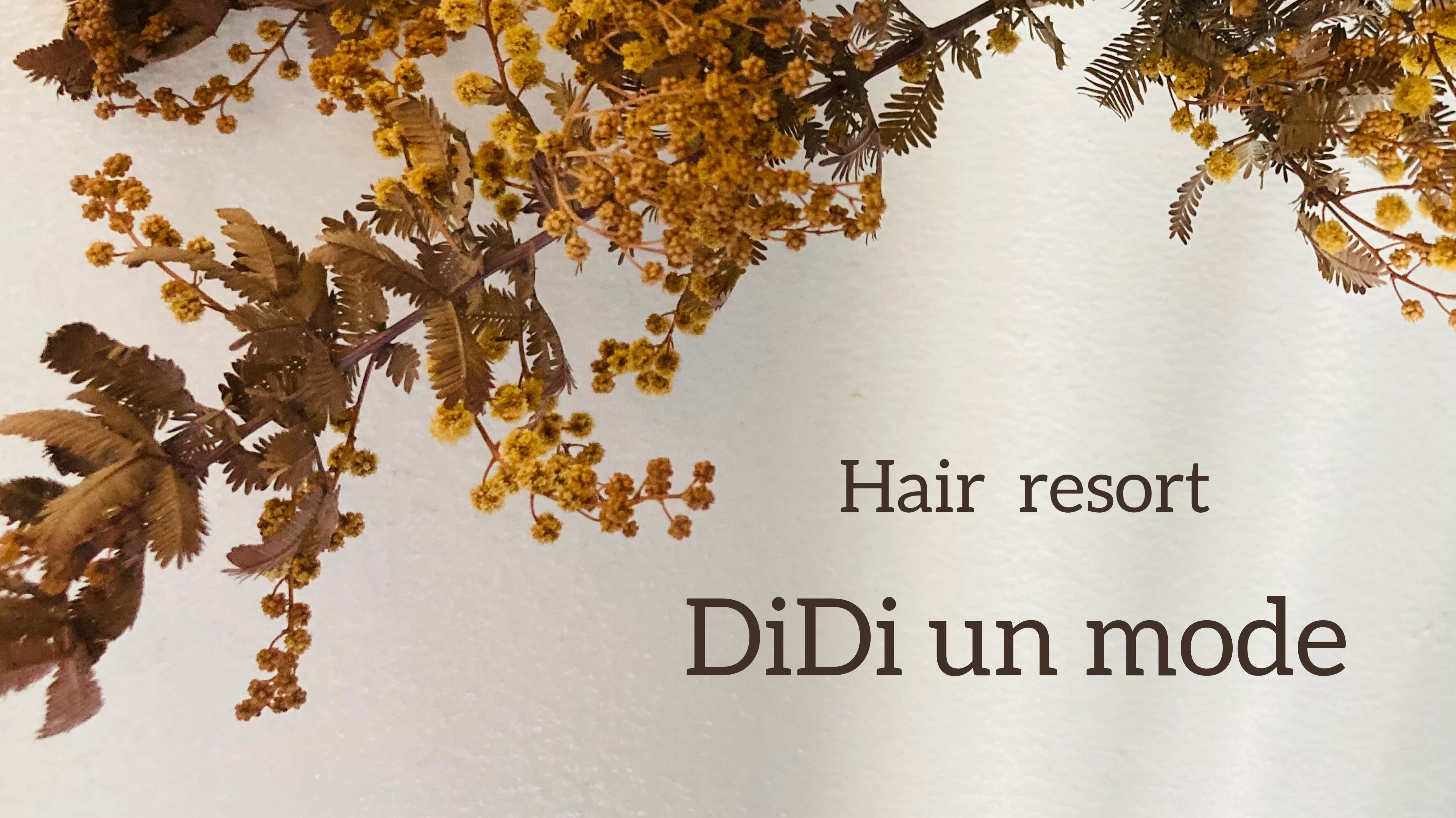 Hair resort DiDi un mode