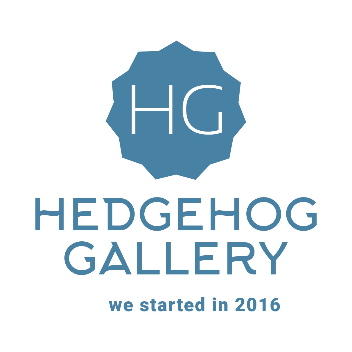 Hedgehog gallery