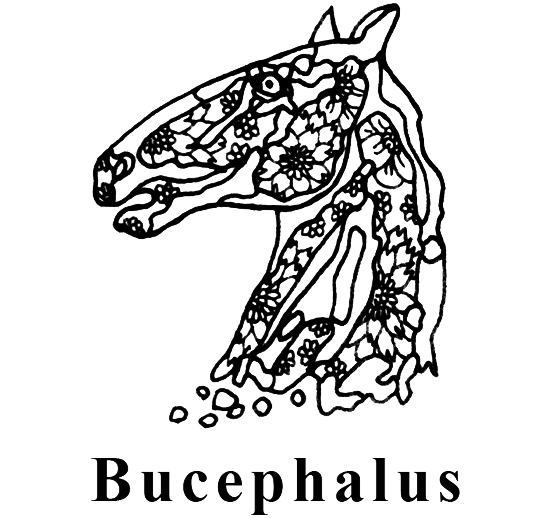 Bucephalus