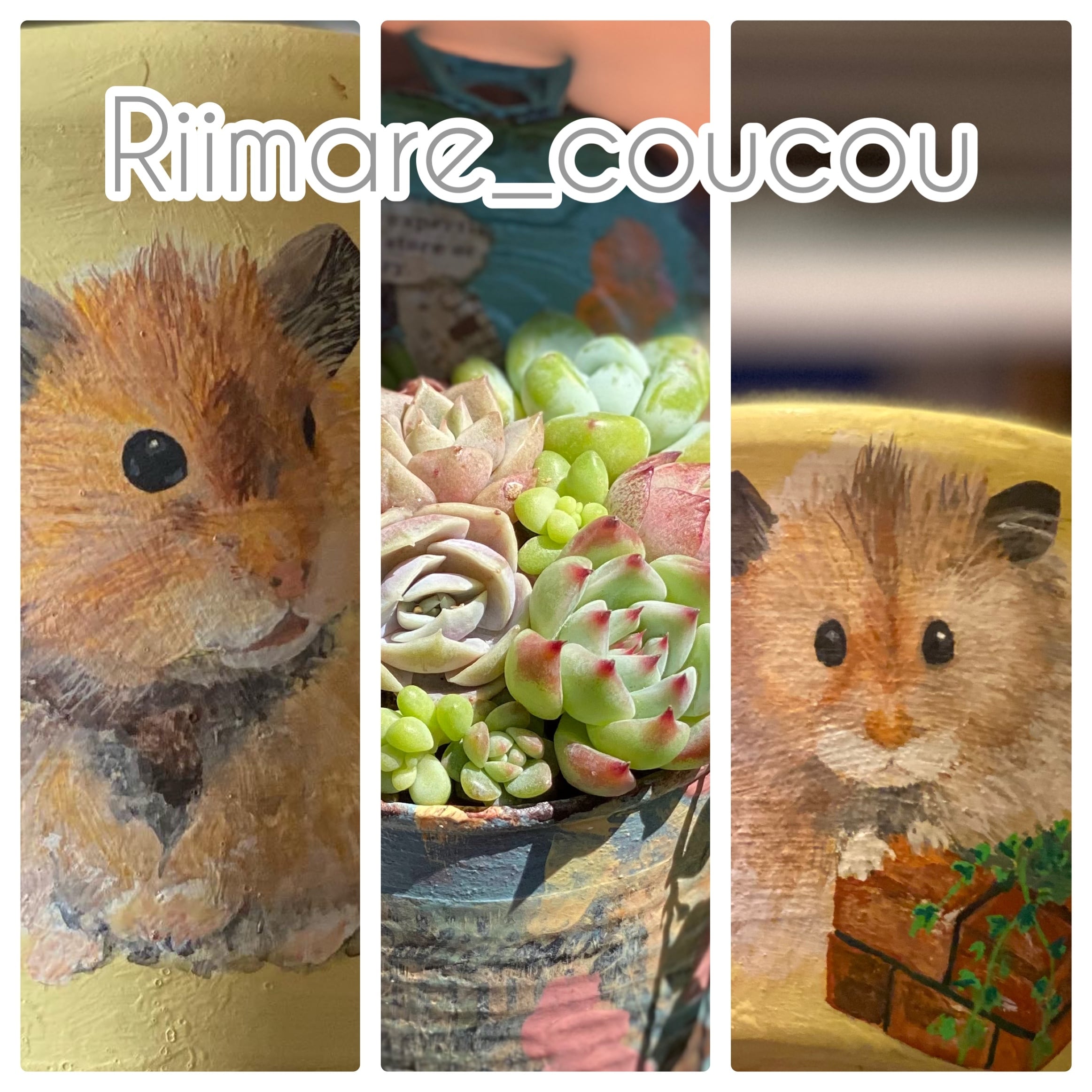 りぃまれ_くく【韓国苗とリメ鉢のお店】