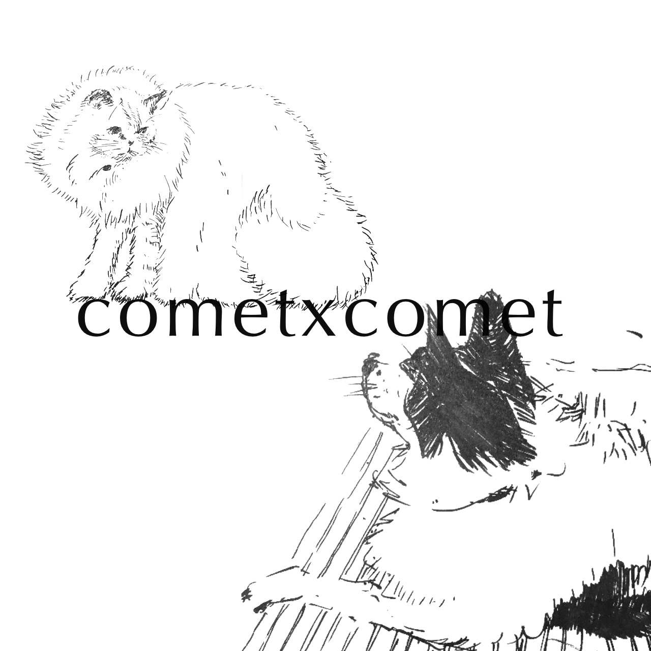 cometxcomet