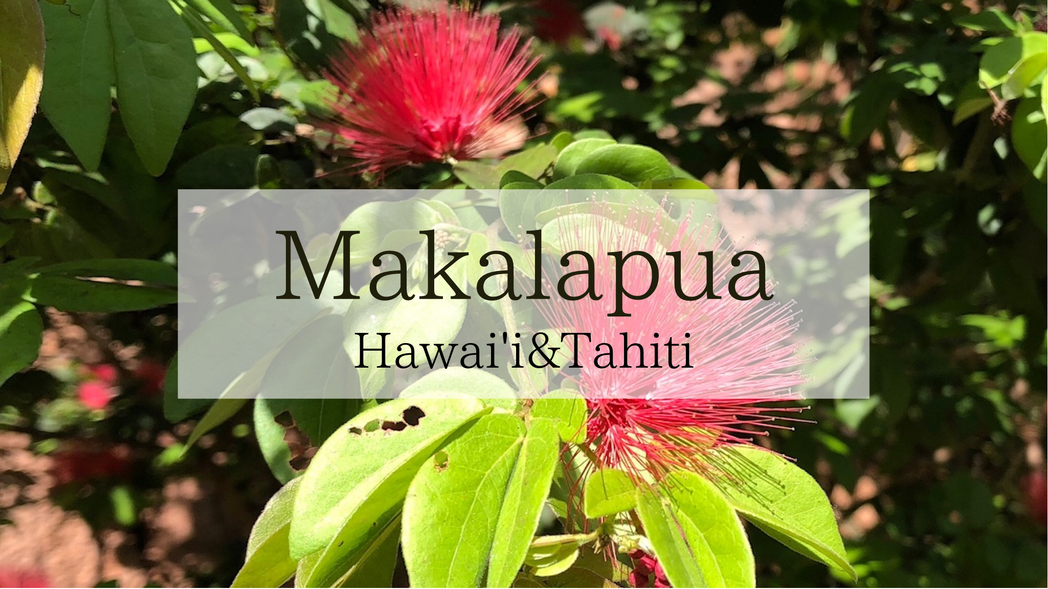 Makalapua