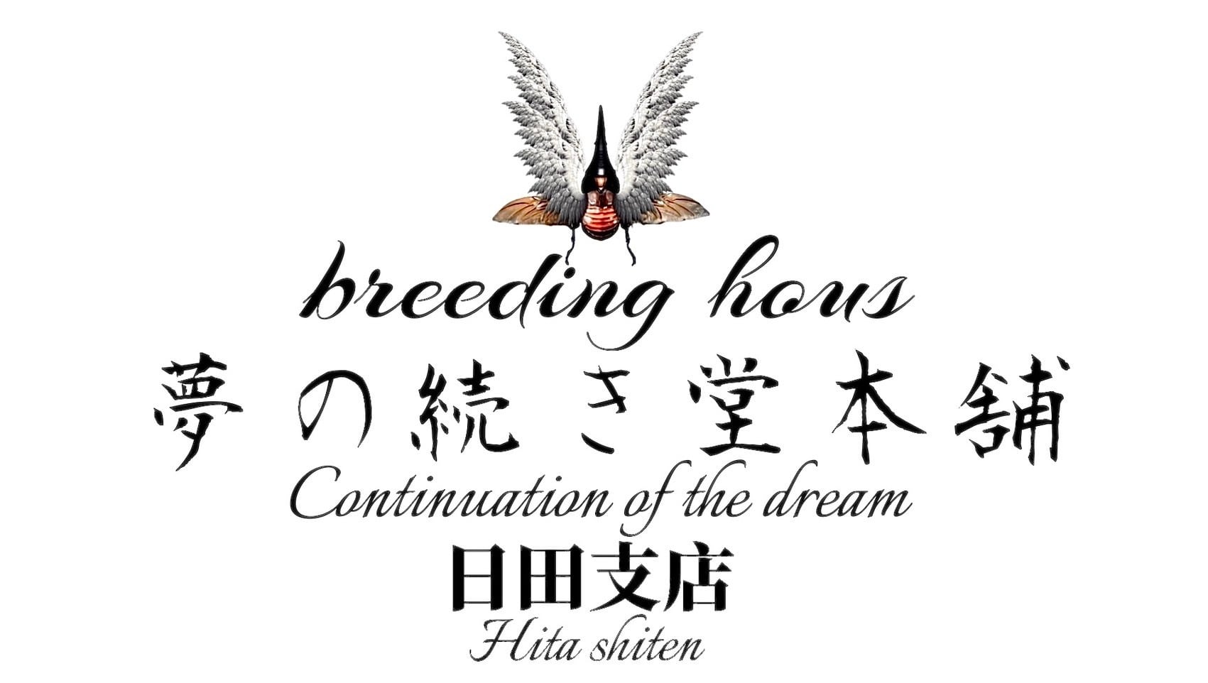 もりくわ☀︎やまめだか