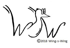 Wing-s-Wing（ウィングスィング）