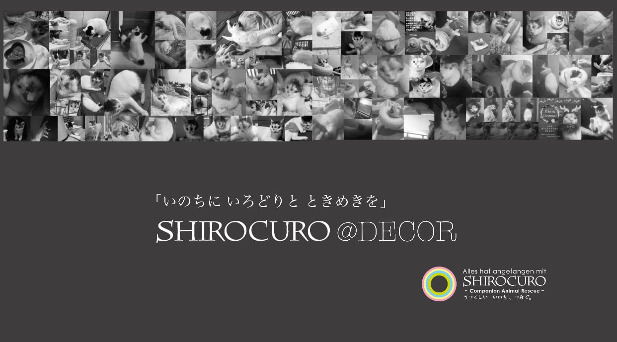SHIROCURO@DECOR