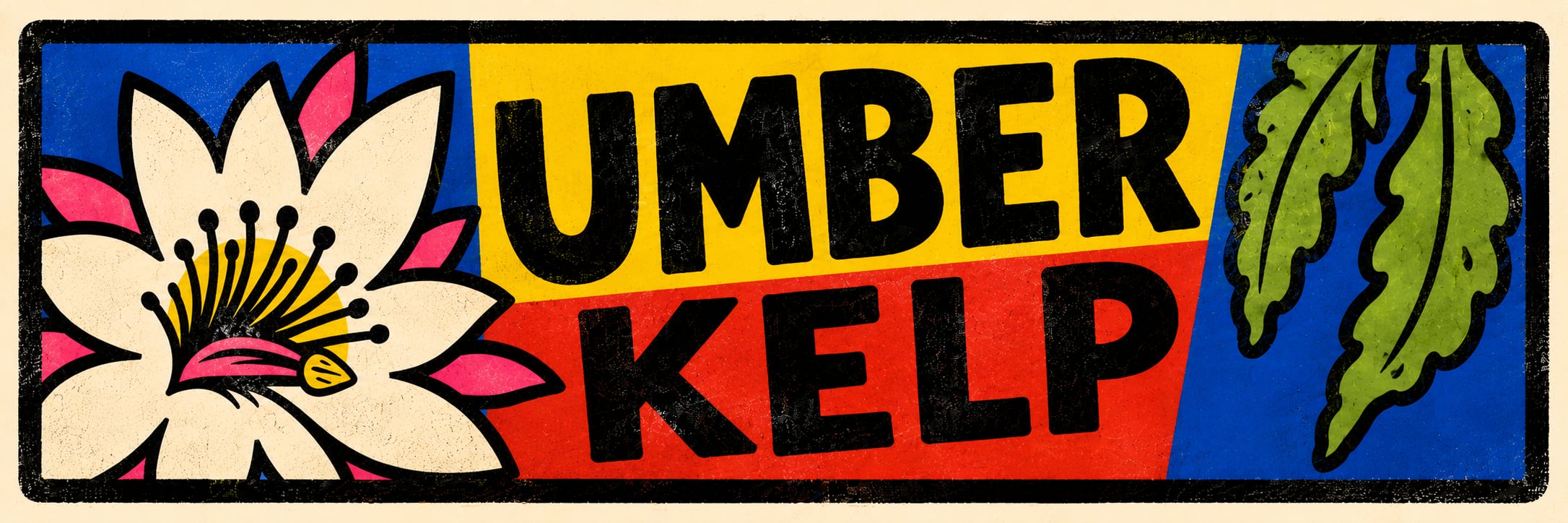 ＵＭＢＥＲ ＫＥＬＰ