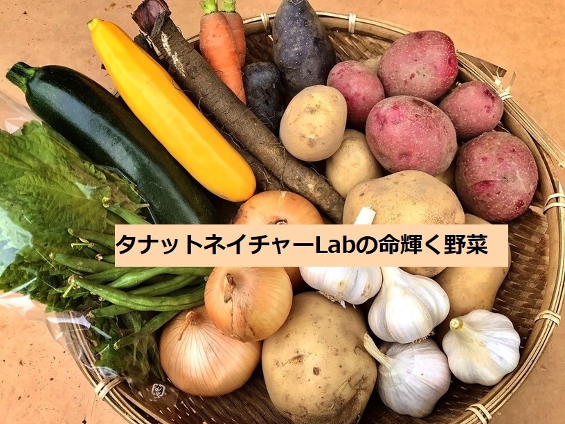 タナットネイチャーLabのお野菜のお店