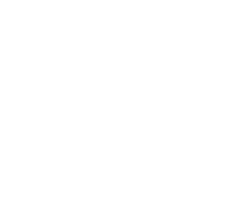 PRIMO