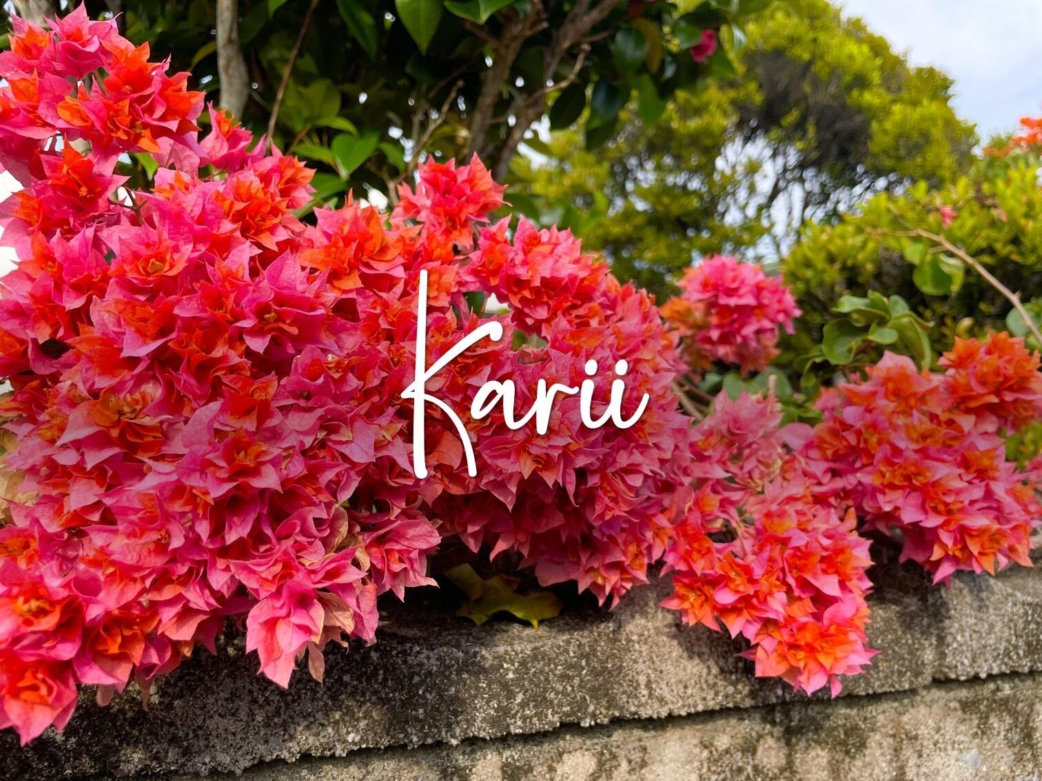 karii