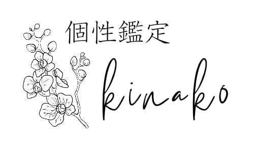 個性鑑定kinako