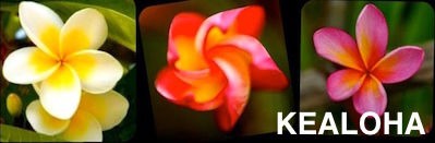KEALOHA